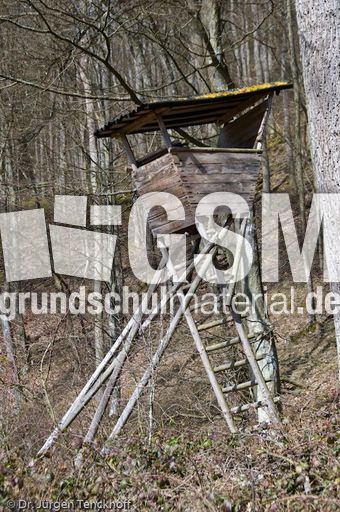 Hochstände (54 von 154).jpg